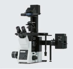 奥林巴斯IX73倒置显微镜