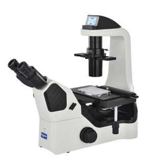 NIB600培养用倒置生物显微镜 [NIB600]
