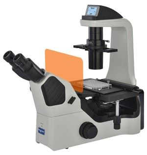 NIB610-FL/NIB620-FL倒置荧光显微镜